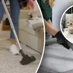 Jälgi ei jää: 7 sammu uriinilõhna eemaldamiseks vaibalt