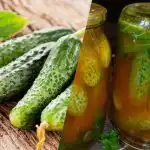 Kuidas katta kurgid talveks tšilliketšupiga: 3 võrreldamatut retsepti