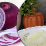 Kuidas maitsvalt marineerida sibulat “Shuba” jaoks - lihtne ja kiire retsept Kuidas maitsvalt marineerida sibulat “Shuba” jaoks - lihtne ja kiire