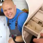 Kuidas pesumasinat hallituse ja lõhna eest puhastada: odavad asjatundlikud nõded