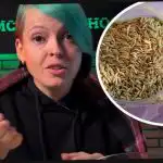 Kuidas valida haljasväetist ja üllatada naabreid saagiga: aednik andis tõhusat