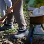 Septembri 2025 külvikalender: mida on vaja aias teha Septembri 2025 külvikalender: mida on vaja aias teha