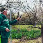 Targad aednikud pritsisid aeda ühe tootega: ükski puu ei jäänud haigeks Targad aednikud pritsisid aeda ühe tootega: ükski puu ei jäänud