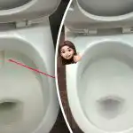 Üks toode valgendab teti läikima: kuidas 15 minutiga toime tulla