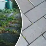 Umbrohud kaovad teie hoovist üleöö, kui pihustate neid ühe köögitootega.