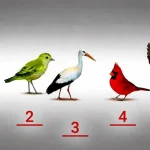 Uurige, kas olete naiivne inimene: psühholoogiline test lindudega uurige-kas-olete-naiivne-inimene-psuhholoogiline-test-lindudega.webp.webp